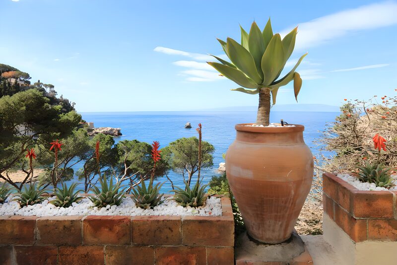 Prachtig uitzicht op zee met planten