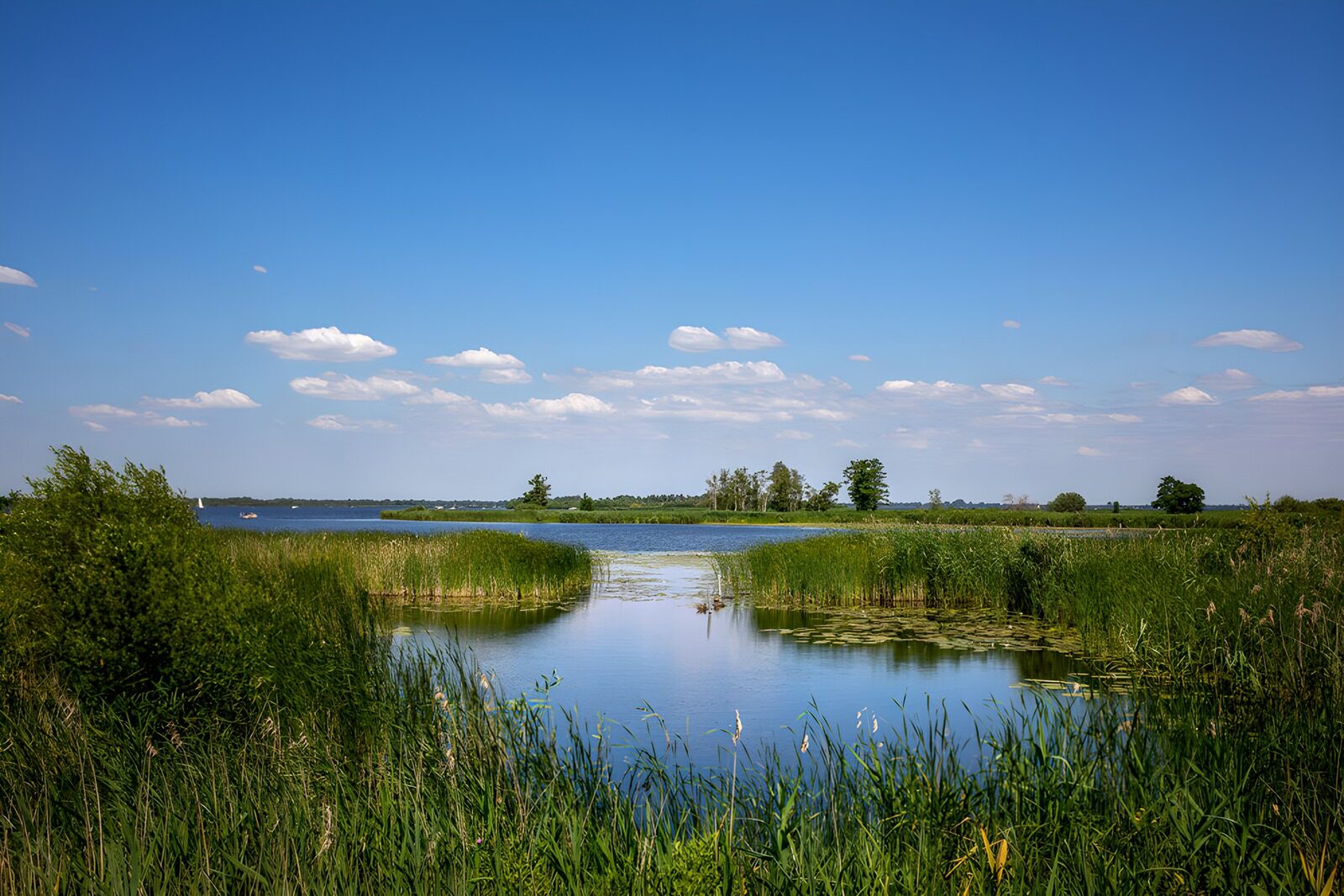 Rustig waterlandschap onder een blauwe lucht