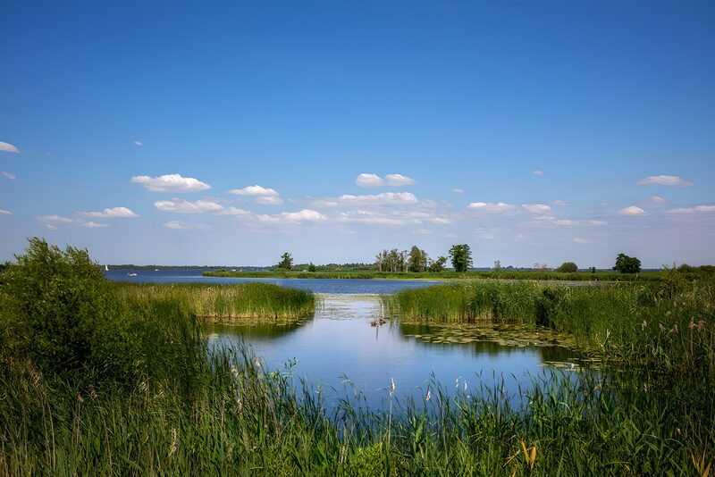Rustig waterlandschap onder een blauwe lucht