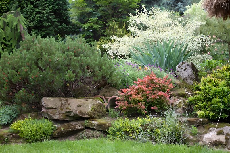 Groene Tuin vol Levendige Planten
