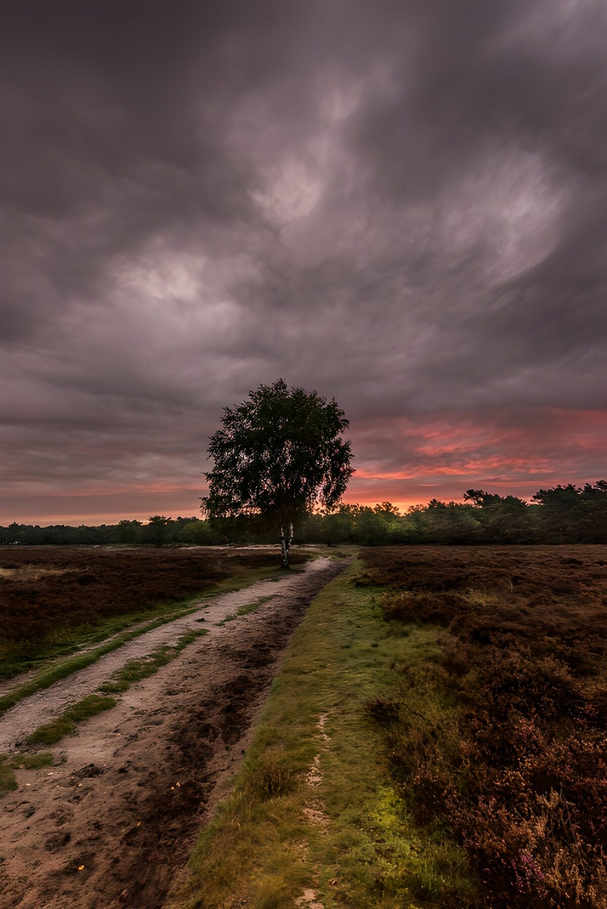 Mystieke hemel boven de heide
