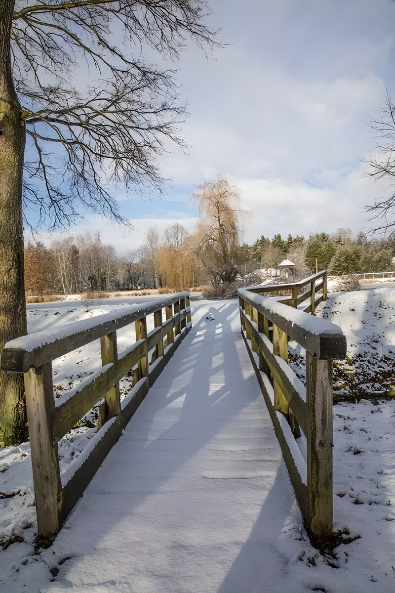 Sneeuwbedekte Brug in de Natuur