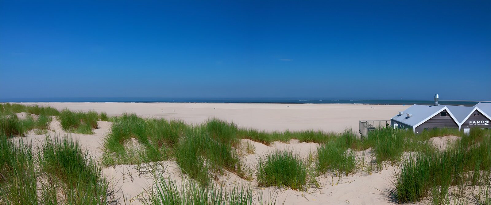 Strand met duinen en blauwe lucht