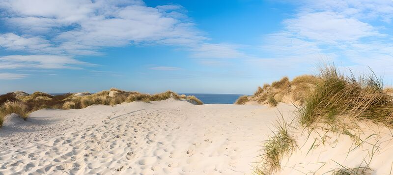Rustige duinen bij de zee