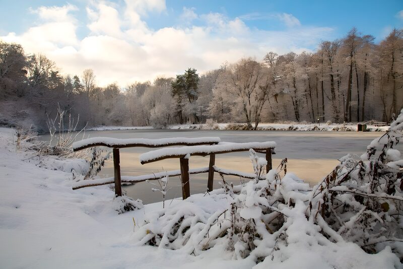 Winterlandschap bij bevroren vijver