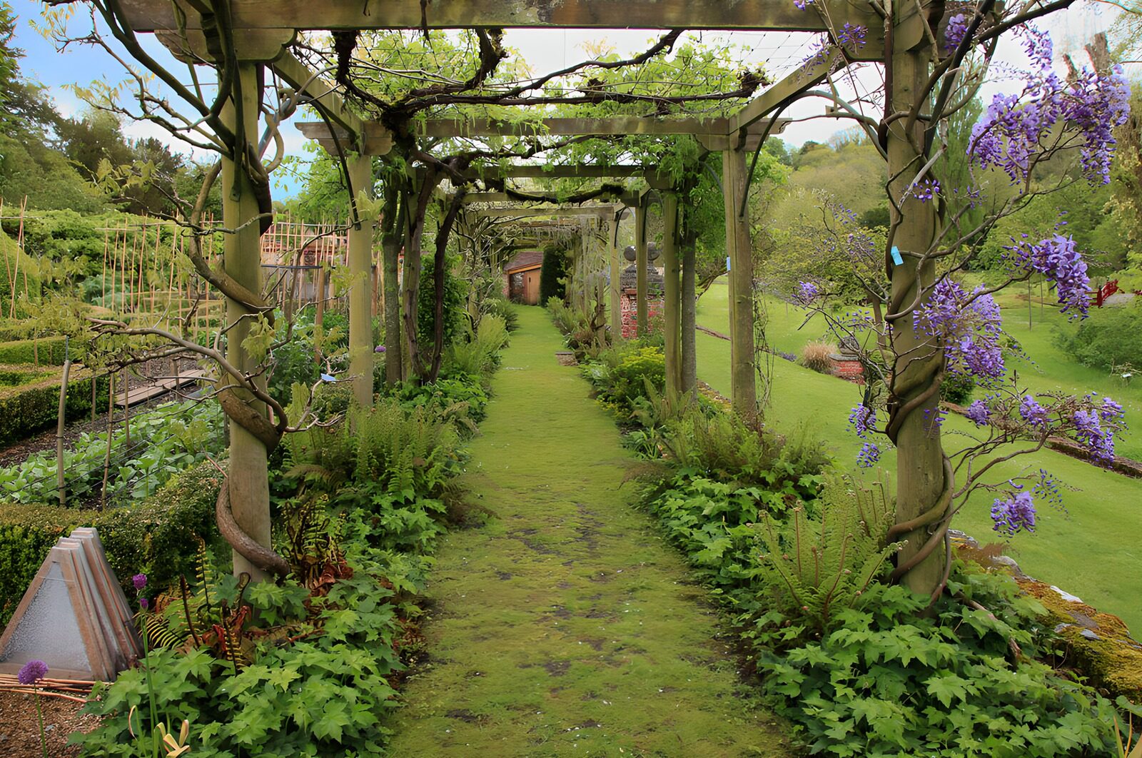 Prachtige pergola met bloeiende wisteria