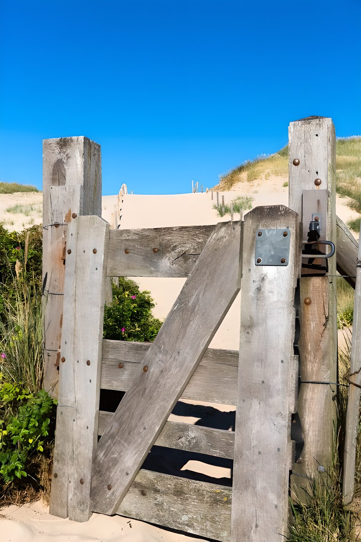 Hekje in Duinen bij Bergen aan Zee