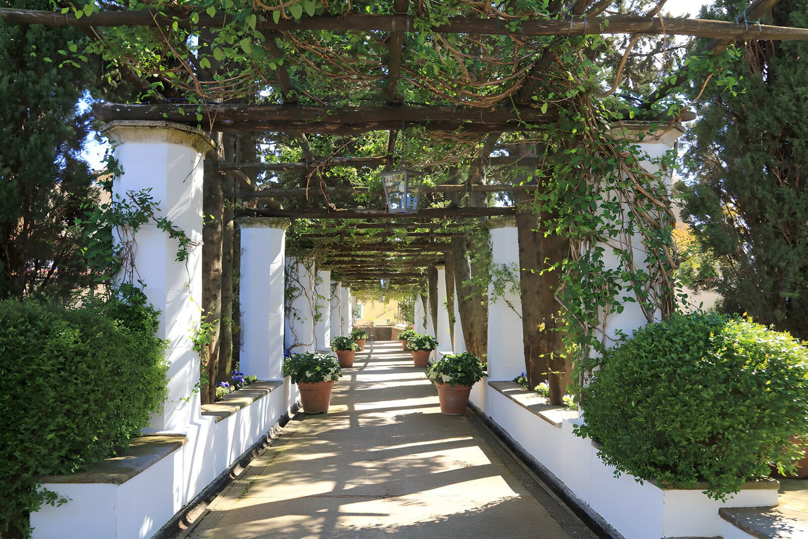 Prachtige tuin met pergola en planten