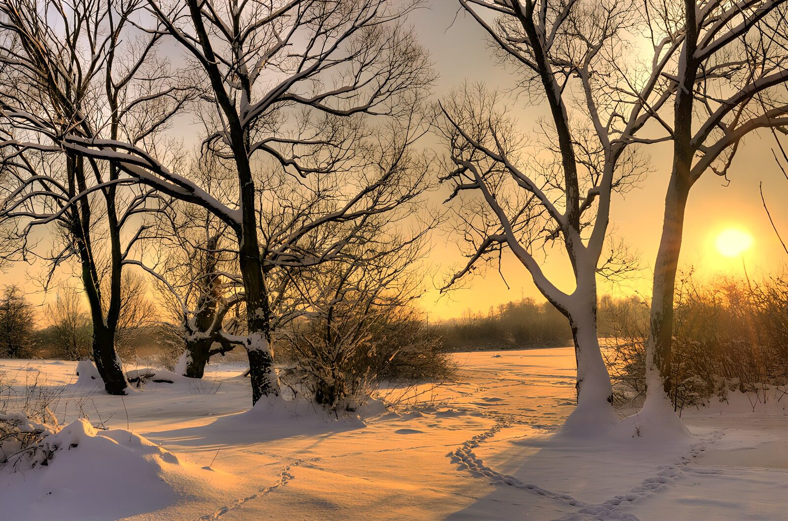 Magische winterochtend bij zonsopgang