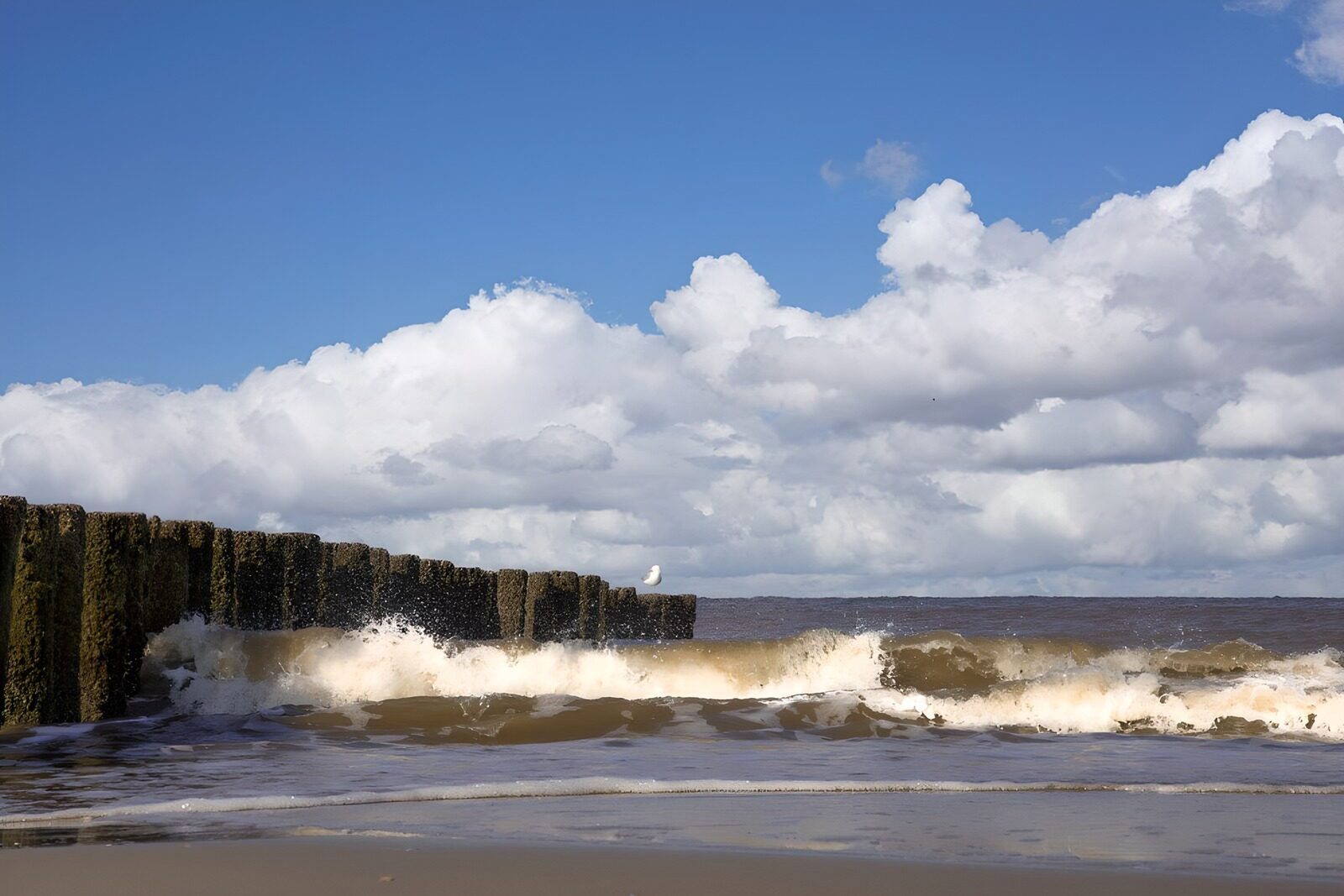 Golven en Wolken aan de Kust