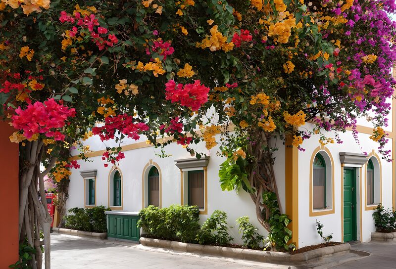 Kleurrijke woning met bloeiende bougainvillea