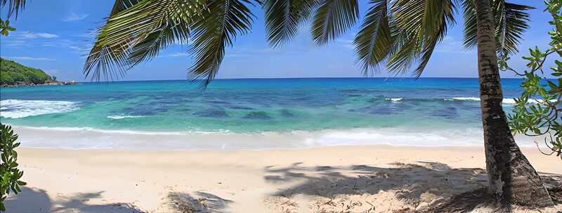 Tropisch strand met palmbomen