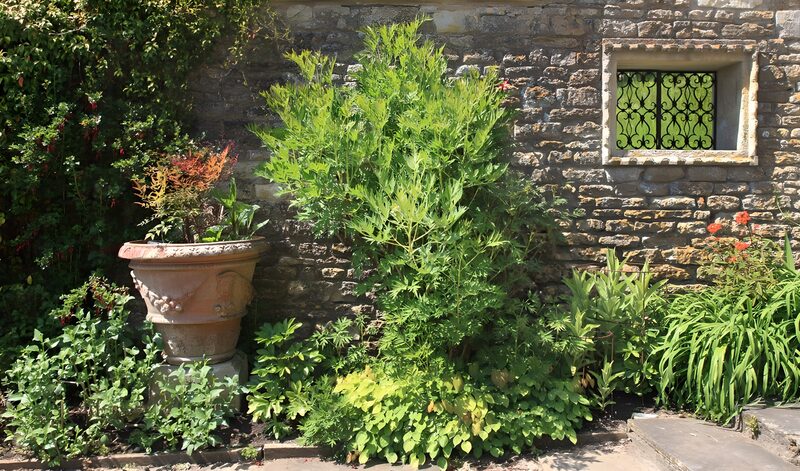 Stenen muur met raam en Terracotta pot