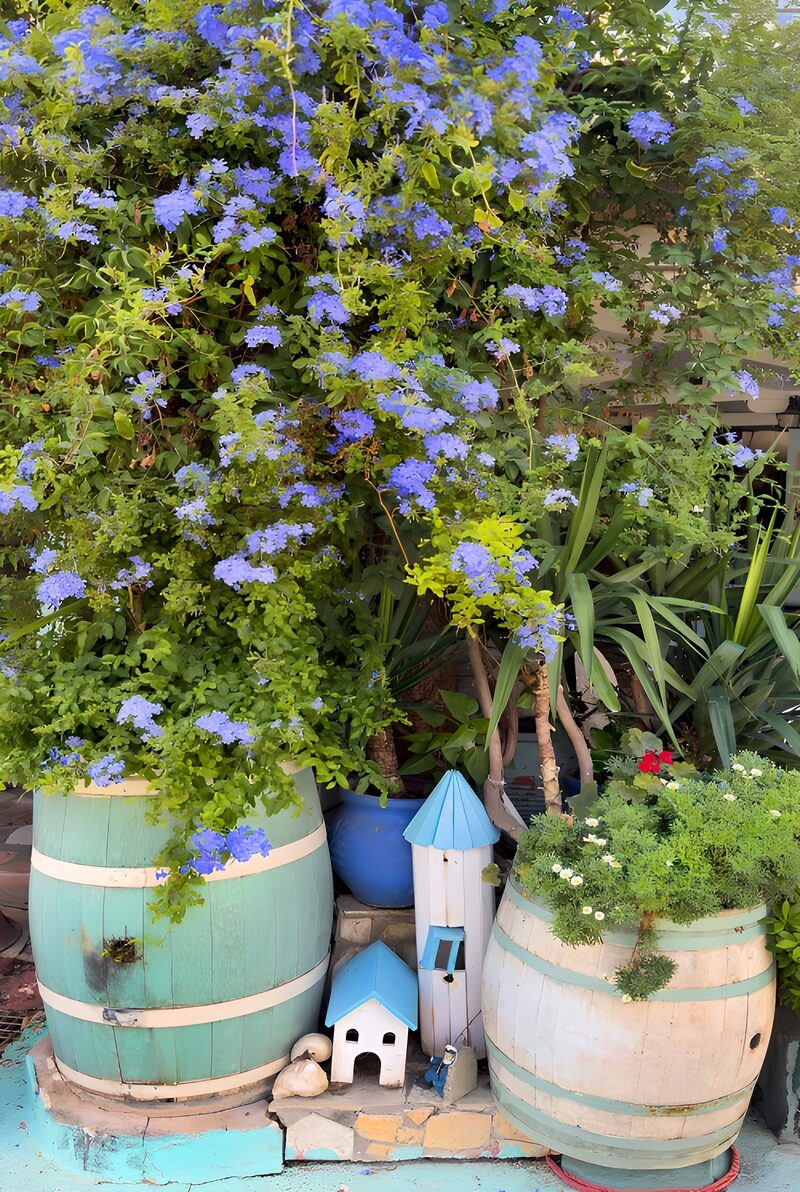 Bloemenpracht tussen houten vaten